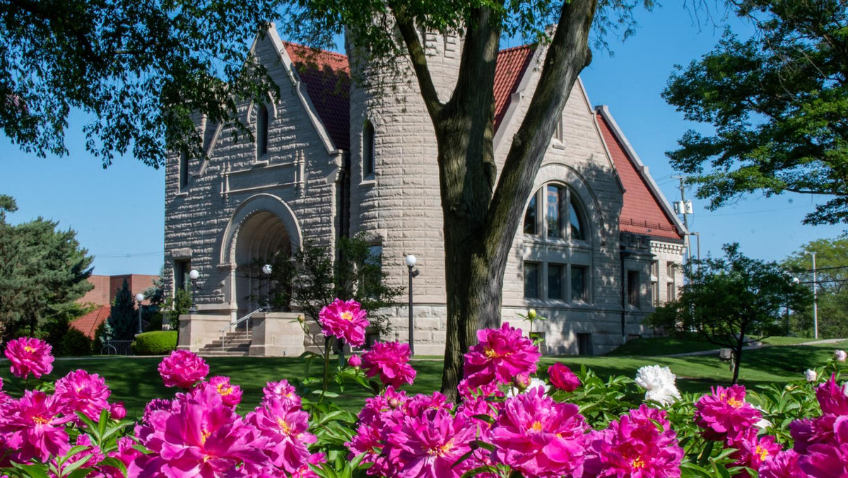 Brumback Library