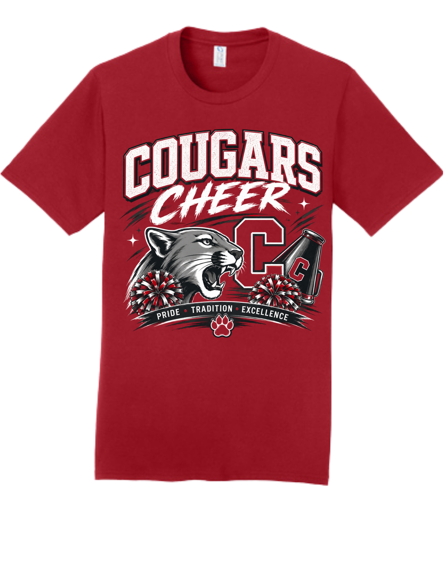 Van Wert Cheer