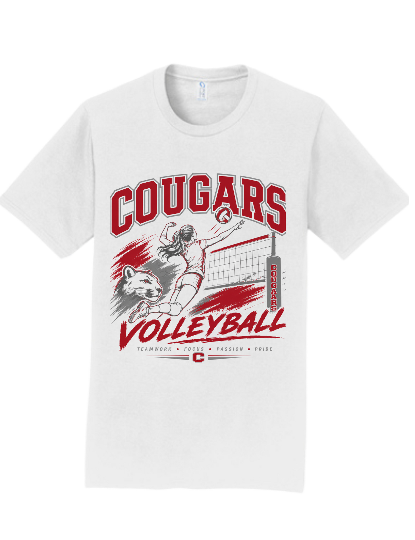 Van Wert Volleyball