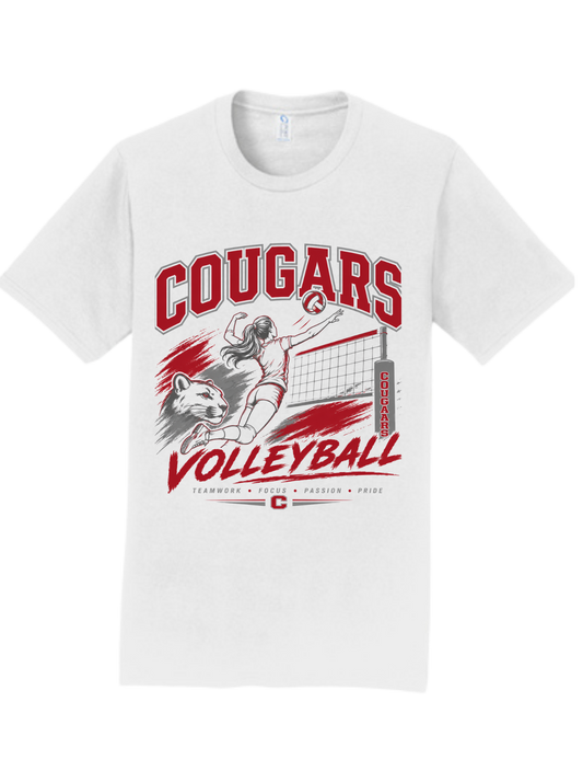 Van Wert Volleyball